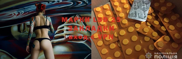 ГАЛЛЮЦИНОГЕННЫЕ ГРИБЫ Армянск