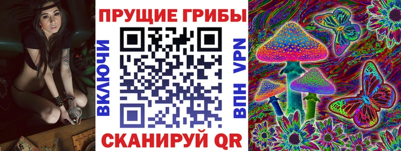 купить наркотик  Талица  Галлюциногенные грибы MAGIC MUSHROOMS 
